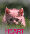 0201a.gif (11025 bytes)