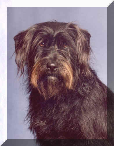 fudge.jpg (18710 bytes)
