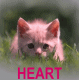 heart2.gif (69039 bytes)